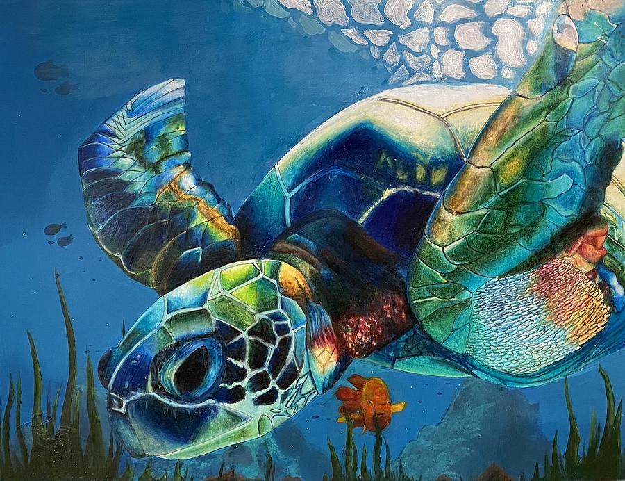 Turtle Drawing - Green Sea Turtle with Garibaldi by Xiney Liu 6th grade by California Coastal Commission