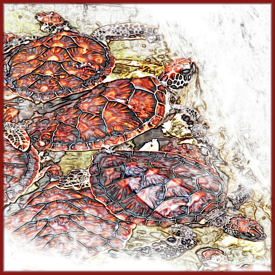 Turtle Digital Art - Green Sea Turtles by John Kain