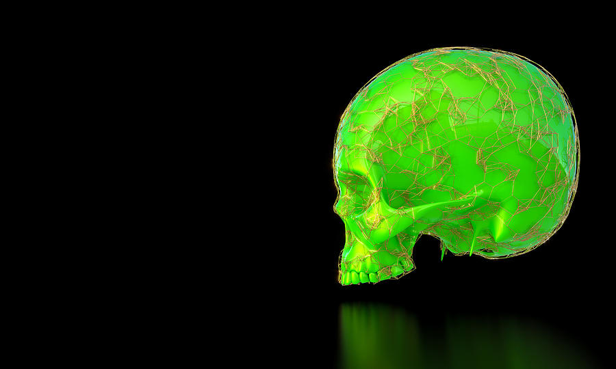 Green Skull With Gold Frame In Plexus Style.  Photograph by Gualtiero Boffi