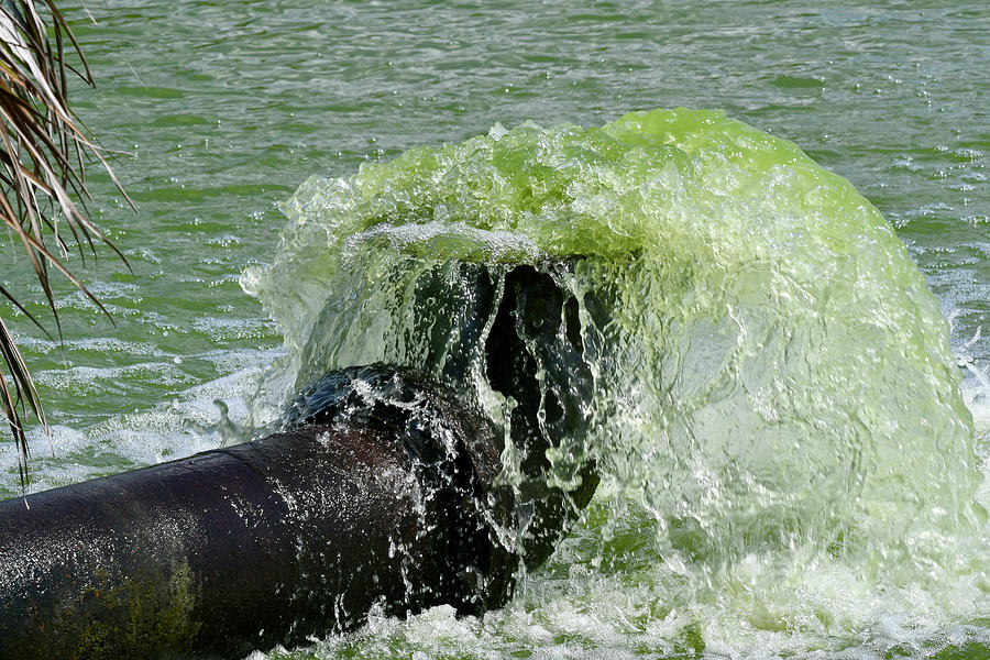 Green Slush Photograph by TJ Zimmer