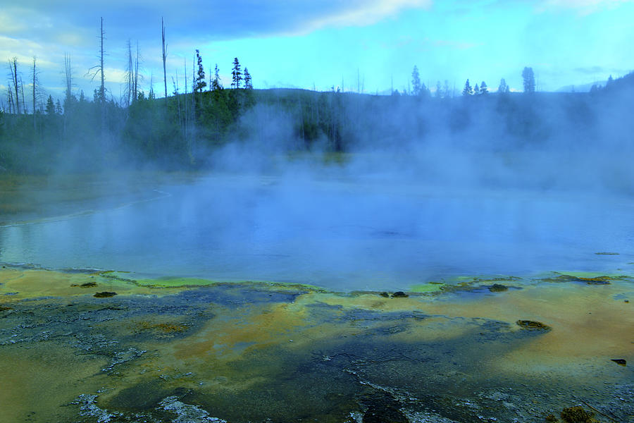 Green Spring Yellowstone National Park Photograph by Jeff Swan