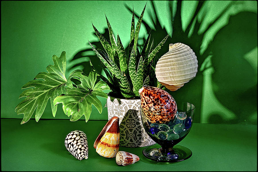 Green still life Photograph by Andrei SKY
