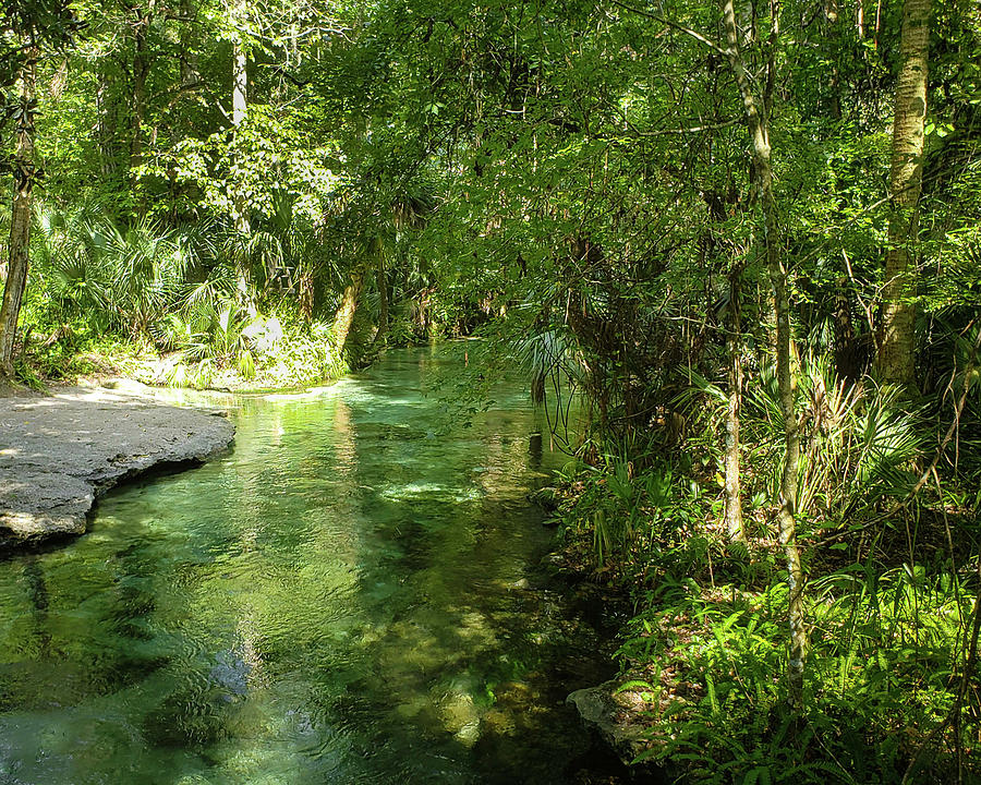 Eco Photograph - Green Summer at Rock Springs by Jo M Eco Photograph - Green Summer at Rock Springs by Jo M