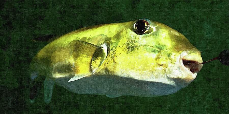 Green Toad Fish. Colourful abstract wall art image. Photograph by Geoff Childs