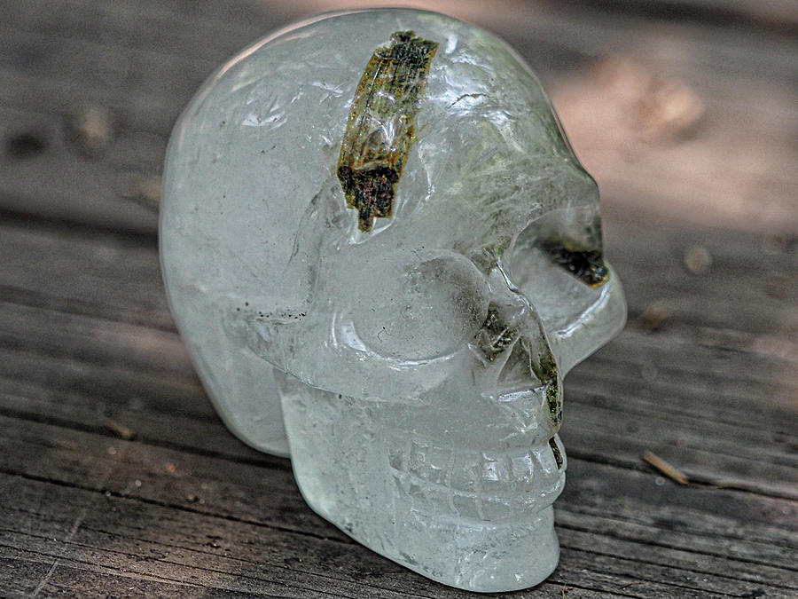 Green Tourmaline Wands embedded in Quartz Crystal Skull Photograph by Rebecca Dru