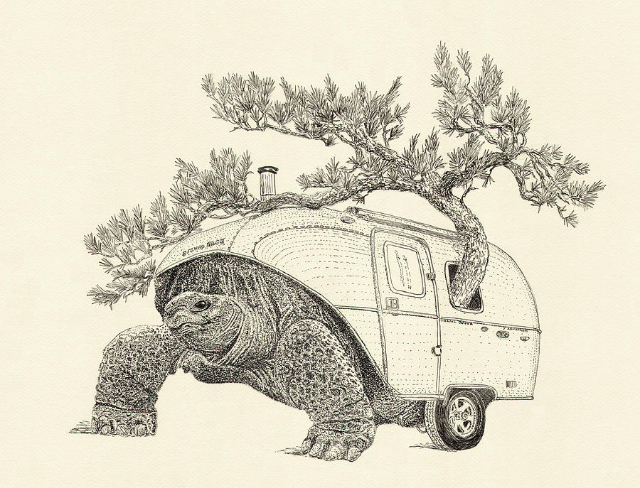 Green Traveler Drawing by Jenny Armitage