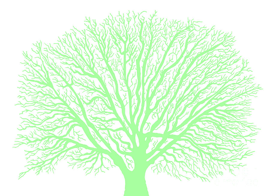 Green Tree Design Painting by Norma Appleton