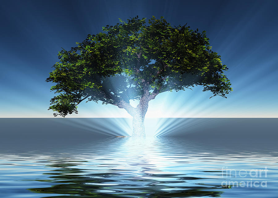 Green tree grows from the water Digital Art by Bruce Rolff