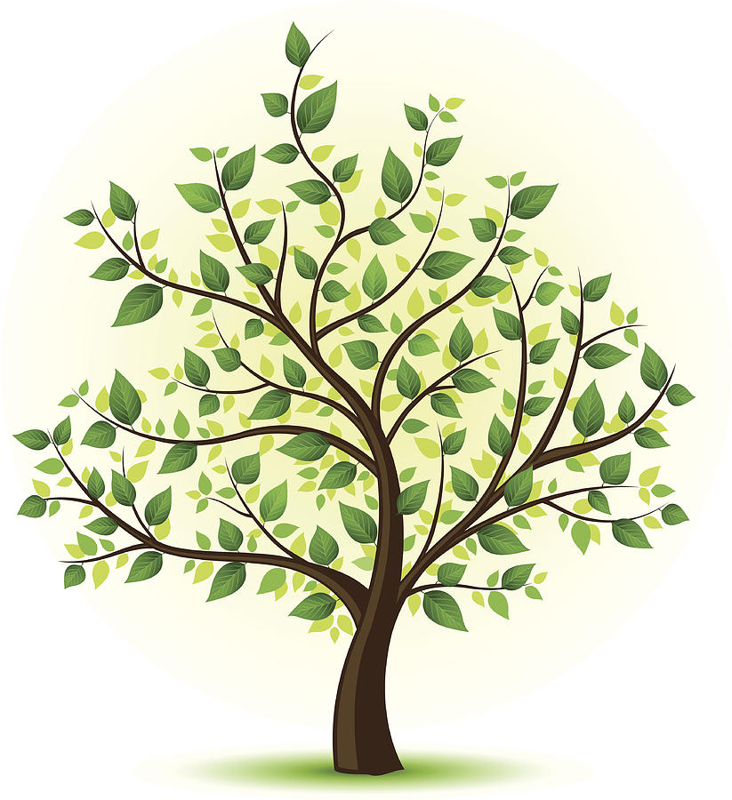 Green Tree Illustration Drawing by Paci77
