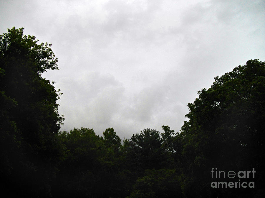 Green Tree Line Under The Stormy Clouds Photograph by Frank J Casella