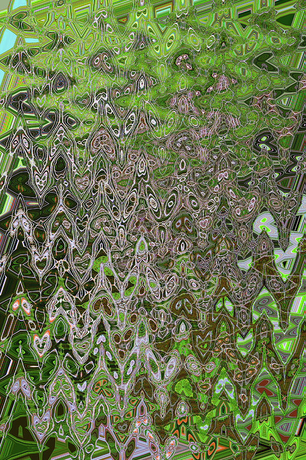 Green Tree White Bark Abstract Digital Art by Tom Janca