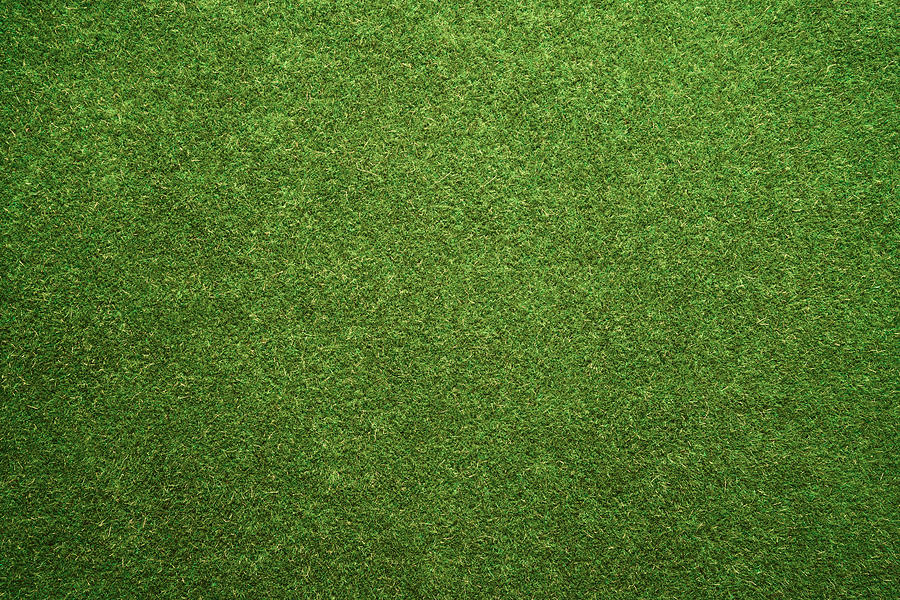 Green Turf Texture Photograph by MirageC