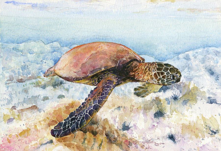Green Turtle Maui Hawaii Painting by John D Benson