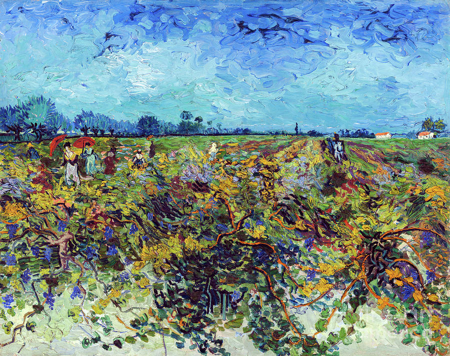 Green Vineyards - Remastered Painting by Vincent van Gogh - Fine Art ...