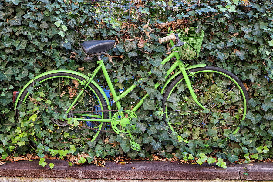 Green Vintage Bicycle At Plants Covered Fence Photograph by Artur Bogacki