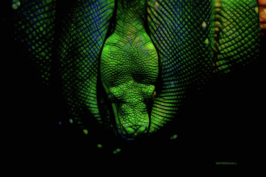 Green Viper Digital Art