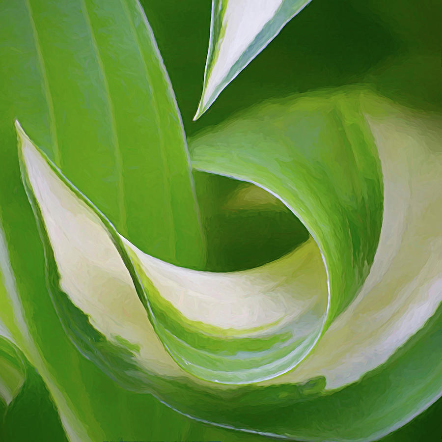 Green Wave Photograph by Kathi Mirto Green Wave Photograph by Kathi Mirto