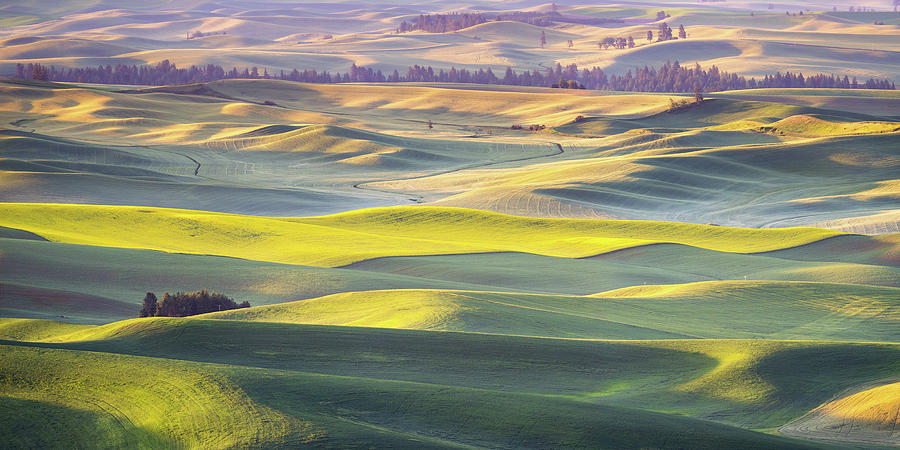 Green Waves of Palouse - 2x1 Panorama Photograph by Alex Mironyuk - Pixels