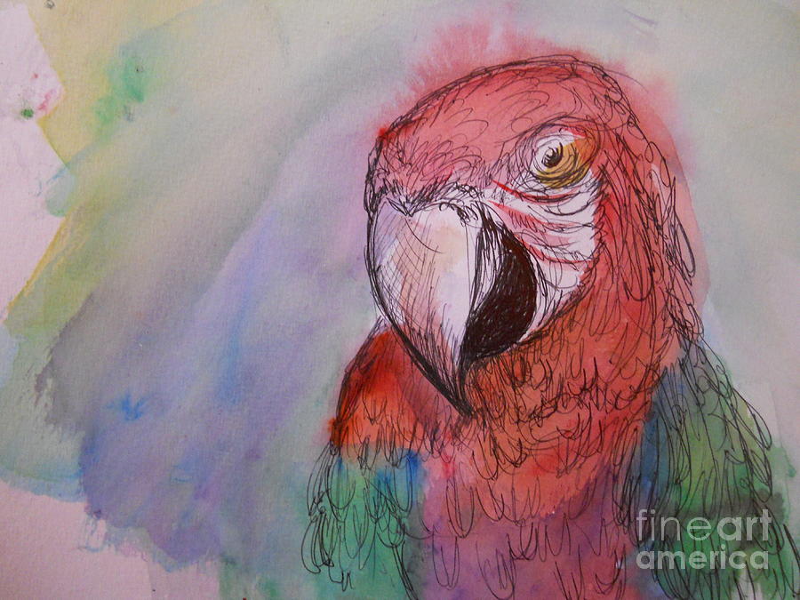 Green Wing Macaw Painting by M c Sturman