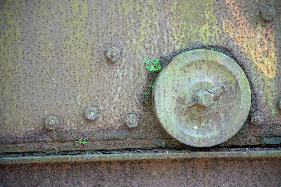 Green with Rust Photograph by Bruce Gourley