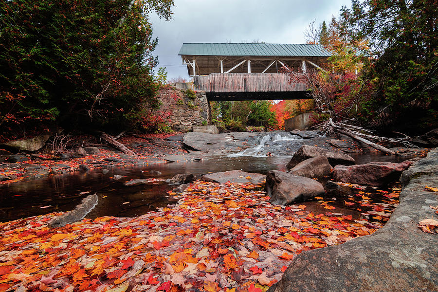 Greenbank Hollow Covered Bridge - Fall Leaves Photograph by Tim Kirchoff