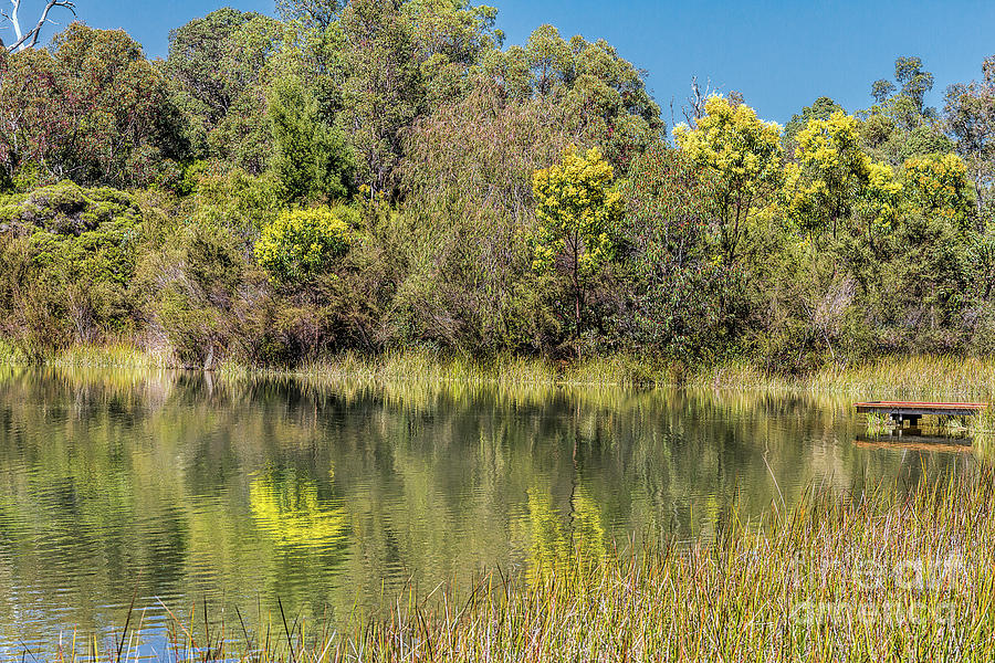 Greenbushes Pool, Western Australia #3 Photograph by Elaine Teague