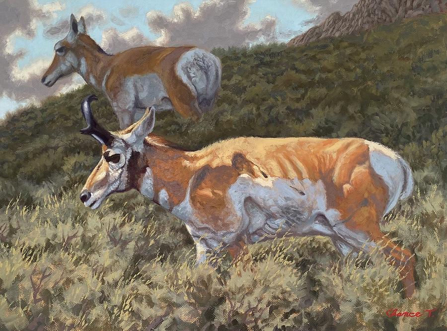 Greener Pastures Original Pronghorn Oil Painting Painting By Chance   Greener Pastures Original Pronghorn Oil Painting Chance Tedesco 