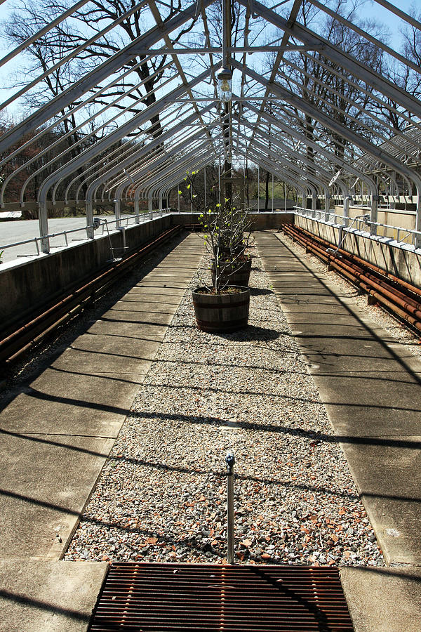 Greenhouse Photograph By Bob Wantz | Fine Art America