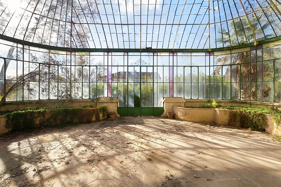 Greenhouse during Sunshine Photograph by Roman Robroek