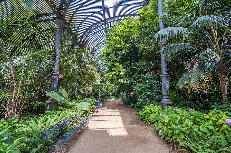 Greenhouse Interior in Ciutadella Park Photograph by By Eve Livesey