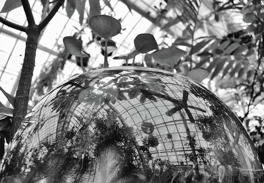 Greenhouse Reflections in Glass Hydroponic Terrarium at Conservatory of Flowers San Francisco BW Photograph by Shawn OBrien