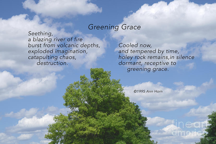 Greening Grace Photograph by Ann Horn