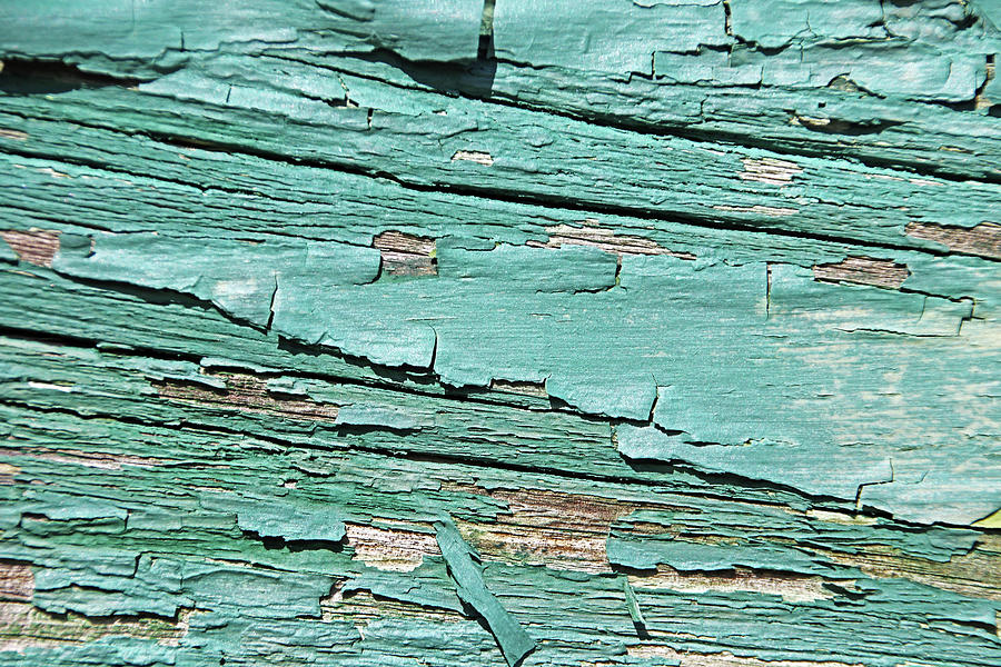 Greenish Peeling Paint Abstract Photograph by Debbie Oppermann
