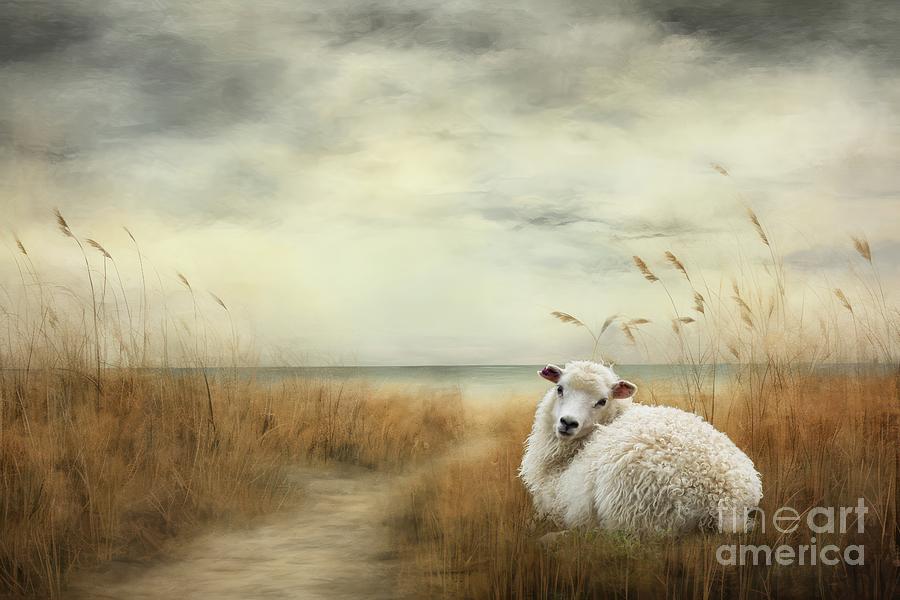 Animal Photograph - Greenlandic Sheep3 by Eva Lechner