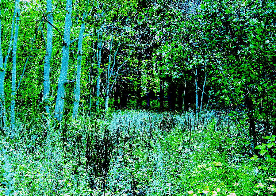 Greens and Blues Digital Art by Cliff Wilson