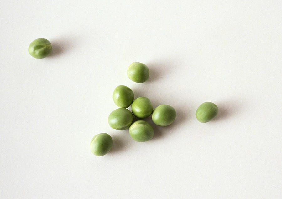 Greens peas against white background, close-up Photograph by Isabelle Rozenbaum & Frederic Cirou