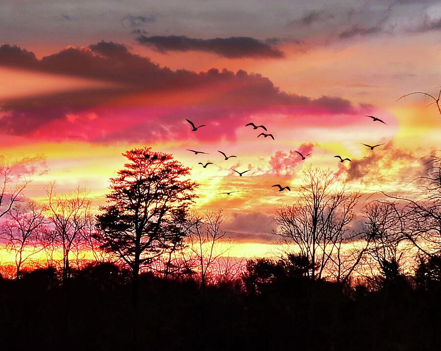 Greenville Sunset Photograph by Diana Angstadt