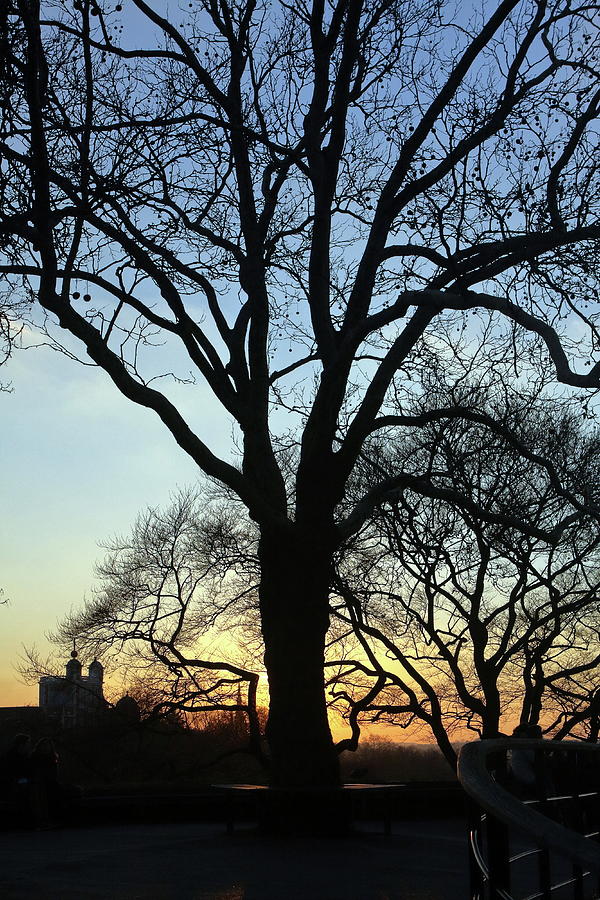 Greenwich Park Sunset  Photograph by Aidan Moran