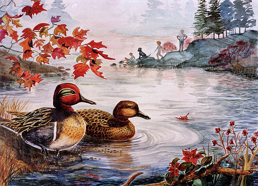 Greenwinged Teal Ducks Painting by Marilyn Smith