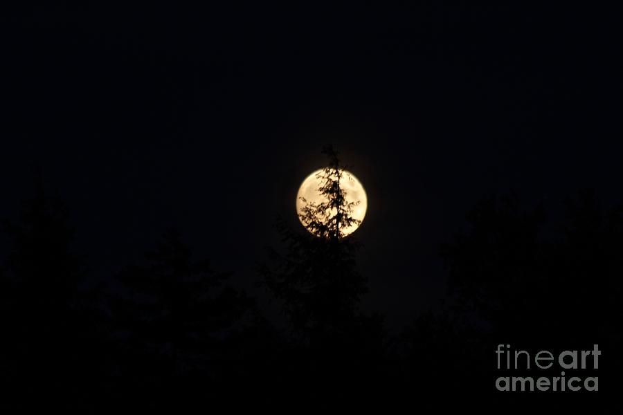 Greenwood Lake Moon Photograph by Ann E Robson