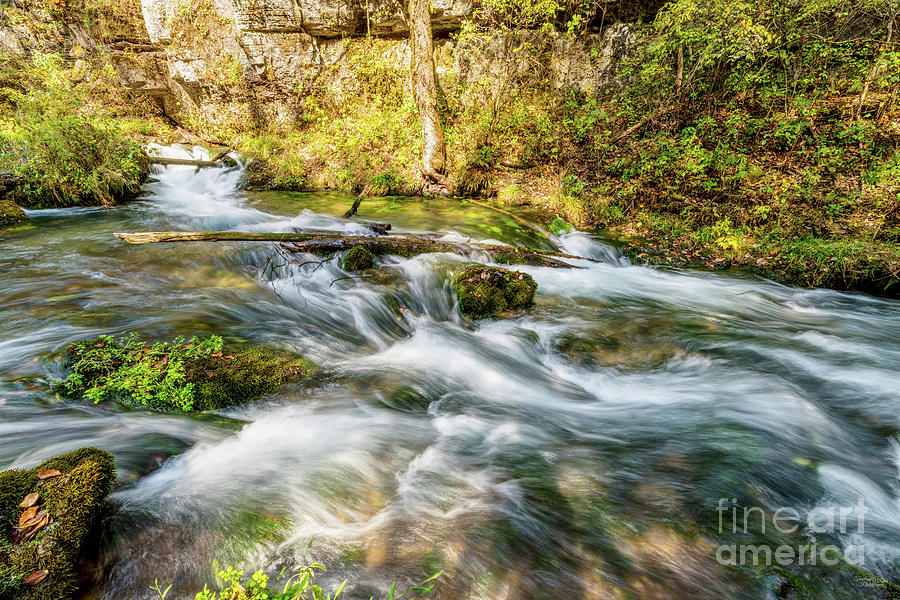 Greer Spring Waterfalls Photograph by Jennifer White