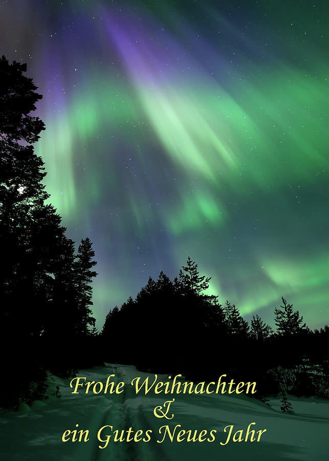 Greeting card - Green and purple - Frohe Weihnachten Gutes Neues Jahr Photograph by Thomas Kast