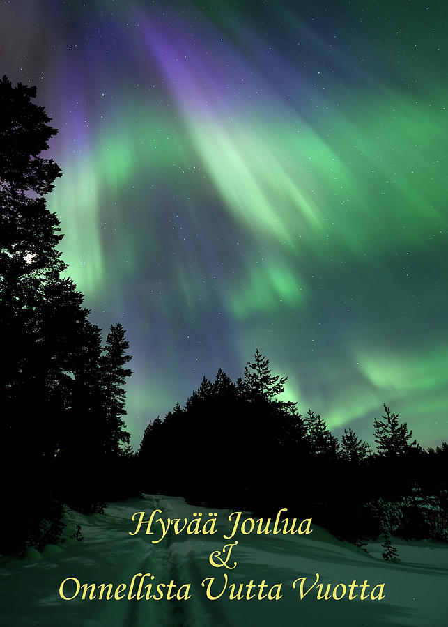 Greeting card - Green and purple - Hyvaa Joulua Onnellista Uutta Vuotta Photograph by Thomas Kast