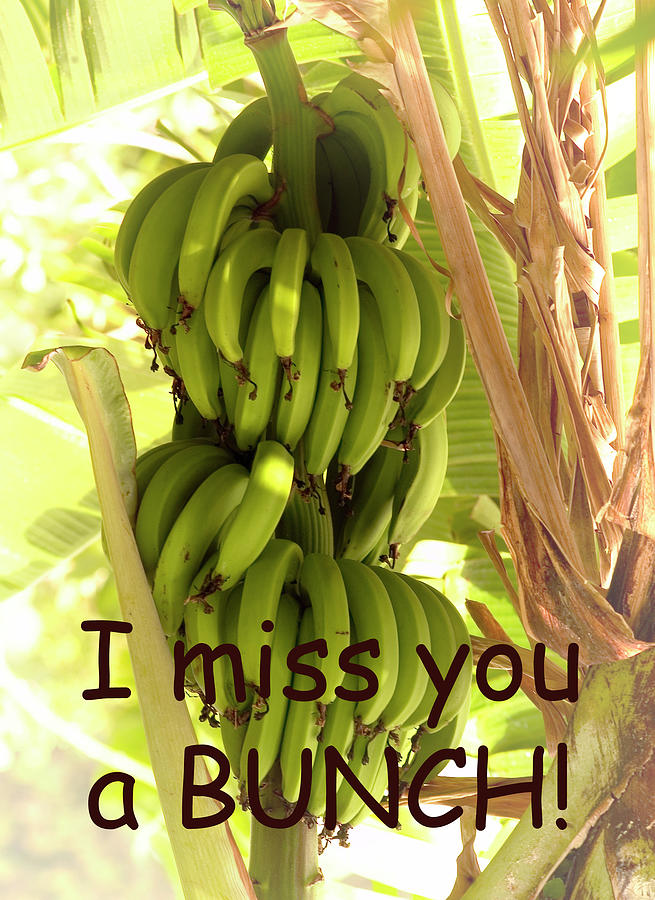 Greeting Card - I Miss You a Bunch Photograph by James C Richardson