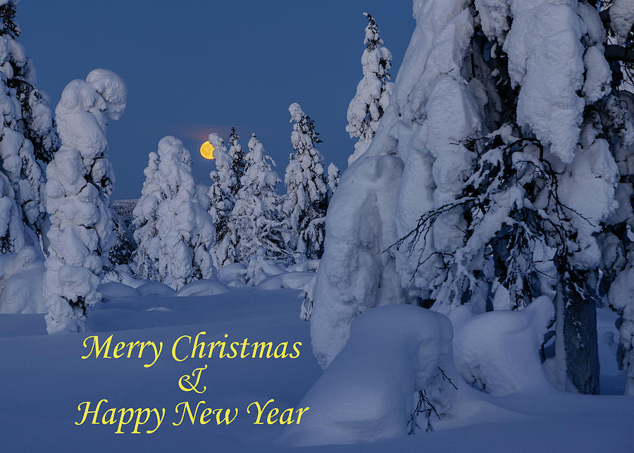 Greeting card - Moonrise - Merry Christmas Happy New Year Photograph by Thomas Kast
