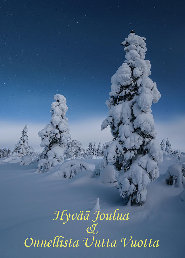 Greeting card - Trees in moonlight - Hyvaa Joulua Onnellista Uutta Vuotta 1 Photograph by Thomas Kast
