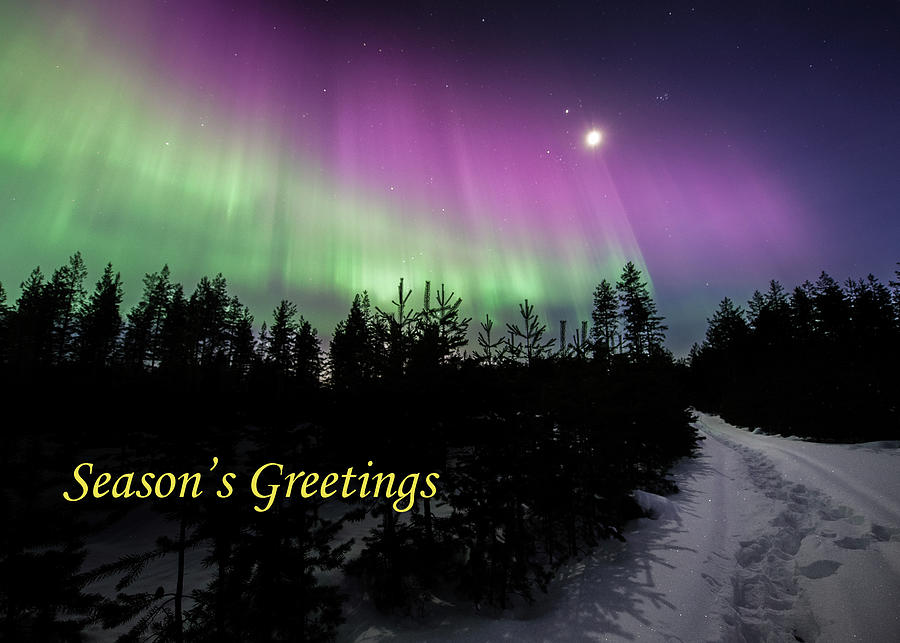 Greeting card - Winter auroras - Season Greetings Photograph by Thomas Kast