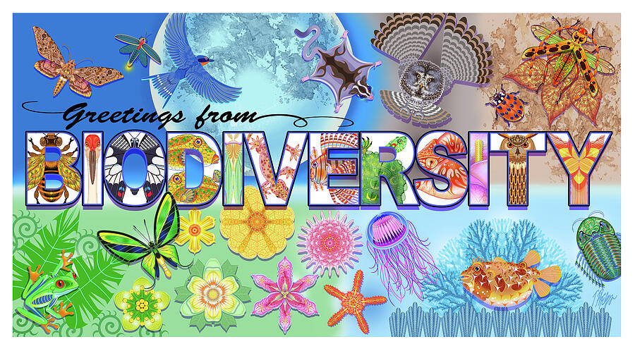 Greetings From Biodiversity Digital Art by Tim Phelps