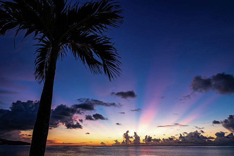 Greetings from Guam Photograph by Brian Anderson Greetings from Guam Photograph by Brian Anderson
