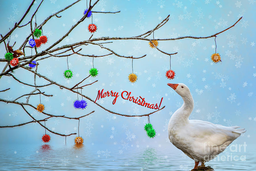 Greetings from the Christmas Goose Photograph by Bonnie Barry
